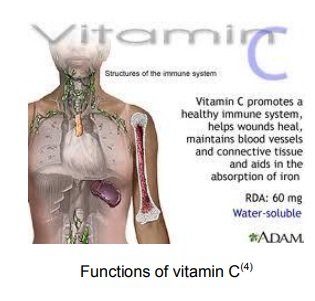 determining the vitamin c content in various fruit juices